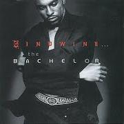 El texto musical PONY de GINUWINE también está presente en el álbum Ginuwine... the bachelor (1996)