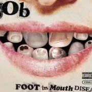 El texto musical LEMON-AID de GOB también está presente en el álbum Foot in mouth disease (2003)