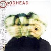 El texto musical JUST LIKE YOU de GODHEAD también está presente en el álbum Evolver (2003)