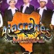 El texto musical CON EL AGUA HASTA EL CUELLO de ALACRANES MUSICAL también está presente en el álbum Famoso durango (2004)