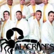 El texto musical POR EL BIEN DE LOS DOS de ALACRANES MUSICAL también está presente en el álbum Furia alacranera (2003)