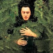 El texto musical DEHORS de ALAIN BASHUNG también está presente en el álbum Fantaisie militaire (1998)