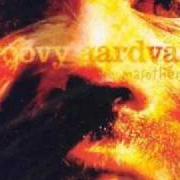 El texto musical IMPOSER DE S'IMPLOSER de GROOVY AARDVARK también está presente en el álbum Masothérapie (2002)