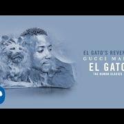 El texto musical SMILING IN THE DROUGHT de GUCCI MANE también está presente en el álbum El gato the human glacier (2017)