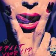 El texto musical SPLIT YOUR LIP de HARDCORE SUPERSTAR también está presente en el álbum Split your lip (2010)