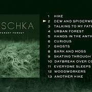 El texto musical HANDS IN THE ANTHILL de HAUSCHKA también está presente en el álbum A different forest (2019)