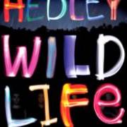 El texto musical GOT LOVE de HEDLEY también está presente en el álbum Wild life (2013)