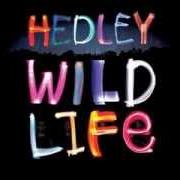 El texto musical I DON'T BELIEVE IT de HEDLEY también está presente en el álbum Hedley (2005)