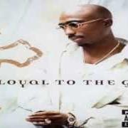 El texto musical THE UPPERCUT de 2PAC también está presente en el álbum Loyal to the game (2004)