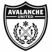 El texto musical YOU'VE GOT SPIDERS de I AM THE AVALANCHE también está presente en el álbum Avalanche united (2011)