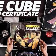El texto musical DOING DUMB SHIT de ICE CUBE también está presente en el álbum Death certificate (1991)