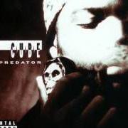 El texto musical DON'T TRUST 'EM de ICE CUBE también está presente en el álbum The predator (1992)