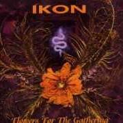 El texto musical INTO YOUR MADNESS de IKON también está presente en el álbum Flowers for the gathering (1997)