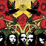 El texto musical AGORAPHOBIA de INCUBUS también está presente en el álbum A crow left of the murder (2004)