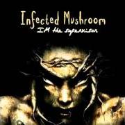 El texto musical RATIO SHMATIO de INFECTED MUSHROOM también está presente en el álbum Im the supervisor (2004)