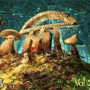 El texto musical TRANCE PARTY de INFECTED MUSHROOM también está presente en el álbum Friends on mushrooms, vol. 2 (2013)