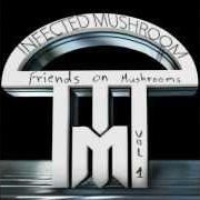 El texto musical BASS NIPPLE de INFECTED MUSHROOM también está presente en el álbum Friends on mushrooms, vol. 1 (2013)