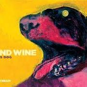 El texto musical CAROUSEL de IRON & WINE también está presente en el álbum The shepherd's dog (2007)