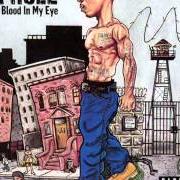 El texto musical BLOOD IN MY EYE de JA RULE también está presente en el álbum Blood in my eye (2003)