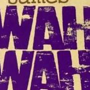 El texto musical JAM J de JAMES también está presente en el álbum Wah wah (1994)