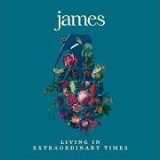 El texto musical COMING HOME (PT.2) de JAMES también está presente en el álbum Living in extraordinary times (2018)