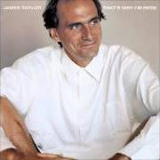 El texto musical THAT'S WHY I'M HERE de JAMES TAYLOR también está presente en el álbum That's why i'm here (1985)