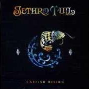 El texto musical LIKE A TALL THIN GIRL de JETHRO TULL también está presente en el álbum Catfish rising (1991)