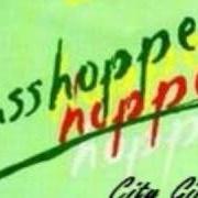 El texto musical A THING GOING ON de JJ CALE también está presente en el álbum Grasshopper (1982)