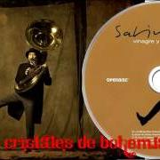 El texto musical BLUES DEL ALAMBIQUE de JOAQUIN SABINA también está presente en el álbum Vinagre y rosas (2009)