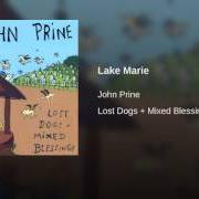 El texto musical LEAVE THE LIGHTS ON de JOHN PRINE también está presente en el álbum Lost dogs and mixed blessings (1995)