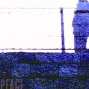 El texto musical I LOVES YOU PORGY de JOHN SCOFIELD también está presente en el álbum A moment's peace (2011)