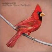El texto musical WAYFARER YOUTH de ALEXISONFIRE también está presente en el álbum Old crows / young cardinals (2009)