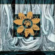 El texto musical AURA ON AN ASYLUM WALL de KAYO DOT también está presente en el álbum Dowsing anemone with copper tongue (2006)