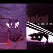 El texto musical TO WHOM IT MAY CONCERN de KEKAL también está presente en el álbum The habit of fire (2007)