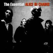 El texto musical AGAIN de ALICE IN CHAINS también está presente en el álbum Greatest hits (2001)
