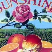 El texto musical LOOKING FOR THE SUNSHINE de THE KINGSTON TRIO también está presente en el álbum Looking for the sunshine (1983)