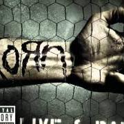 El texto musical BLIND de KORN también está presente en el álbum Live & rare (2006)