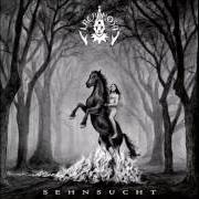 El texto musical DIE SEHNSUCHT IN MIR de LACRIMOSA también está presente en el álbum Sehnsucht (2009)