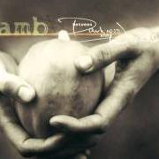 El texto musical 'TIL THE CLOUDS CLEAR de LAMB también está presente en el álbum Between darkness and wonder (2003)