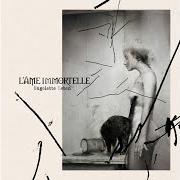 El texto musical WIDERHALL de L'AME IMMORTELLE también está presente en el álbum Ungelebte leben (2024)