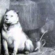 Pavlov'S Dog