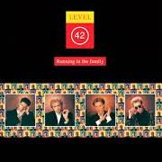 El texto musical FREEDOM SOMEDAY de LEVEL 42 también está presente en el álbum Running in the family (2005)