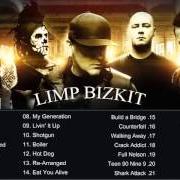 El texto musical MY GENERATION de LIMP BIZKIT también está presente en el álbum Greatest hits (2005)