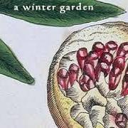 A winter garden