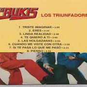 El texto musical CUÁNDO ME VISTE CON OTRA de LOS BUKIS también está presente en el álbum Los triunfadores (1979)