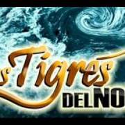 El texto musical LE COMPRÉ LA MUERTE A MI HIJO de LOS TIGRES DEL NORTE también está presente en el álbum Aguas revueltas (2010)