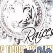 El texto musical EL HIJO DEL PUEBLO de LOS TIGRES DEL NORTE también está presente en el álbum Raices (2008)