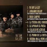 El texto musical ANDAMOS READY de LOS TUCANES DE TIJUANA también está presente en el álbum Yo soy la ley (2026)