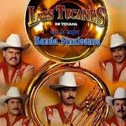 El texto musical LISTA NEGRA de LOS TUCANES DE TIJUANA también está presente en el álbum Los tucanes de tijuana (2002)