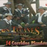 El texto musical EL COMANDANTE DE LA TORRE de LOS TUCANES DE TIJUANA también está presente en el álbum 14 corridos de primera plana (2000)